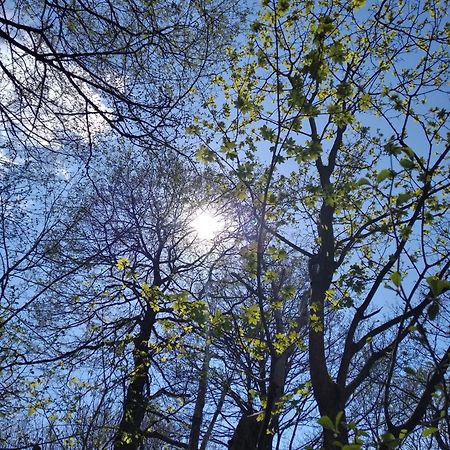 Celorocni Glamping V Pohodlnem Domecku Villa Výprachtice Buitenkant foto