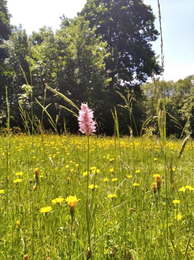 Celorocni Glamping V Pohodlnem Domecku Villa Výprachtice Buitenkant foto