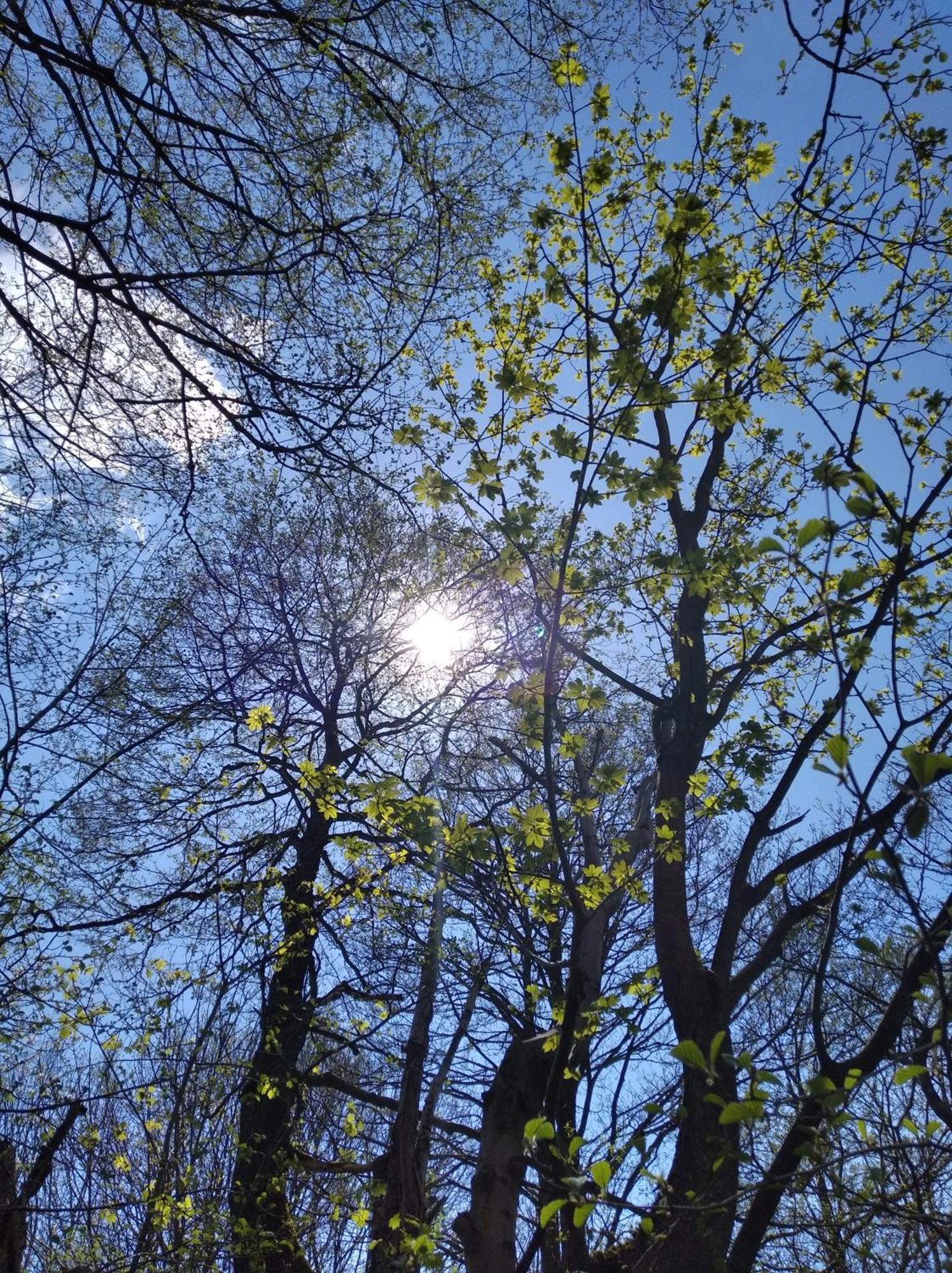 Celorocni Glamping V Pohodlnem Domecku Villa Výprachtice Buitenkant foto