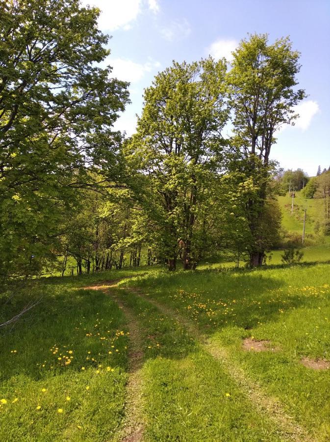 Celorocni Glamping V Pohodlnem Domecku Villa Výprachtice Buitenkant foto