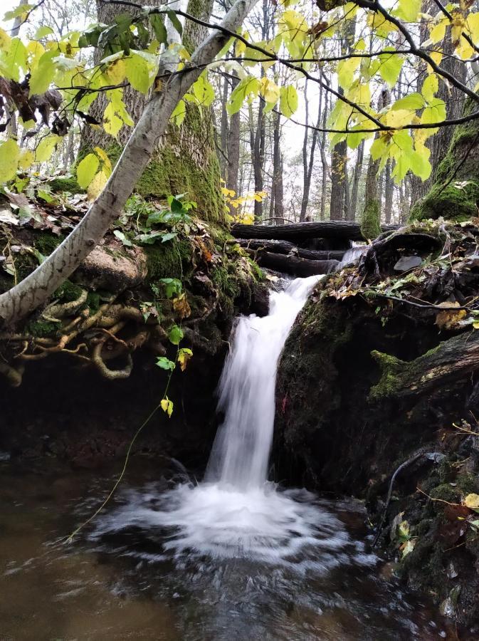 Celorocni Glamping V Pohodlnem Domecku Villa Výprachtice Buitenkant foto