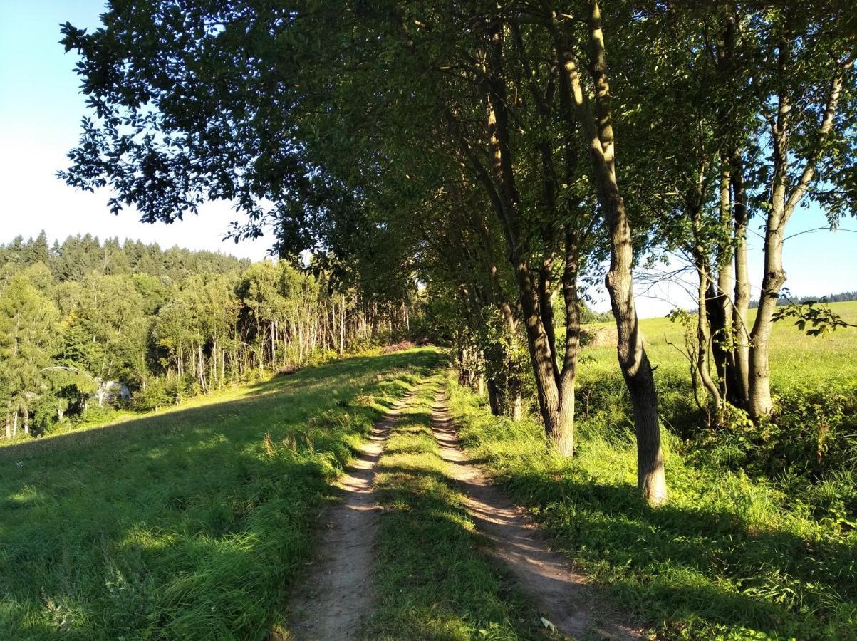 Celorocni Glamping V Pohodlnem Domecku Villa Výprachtice Buitenkant foto