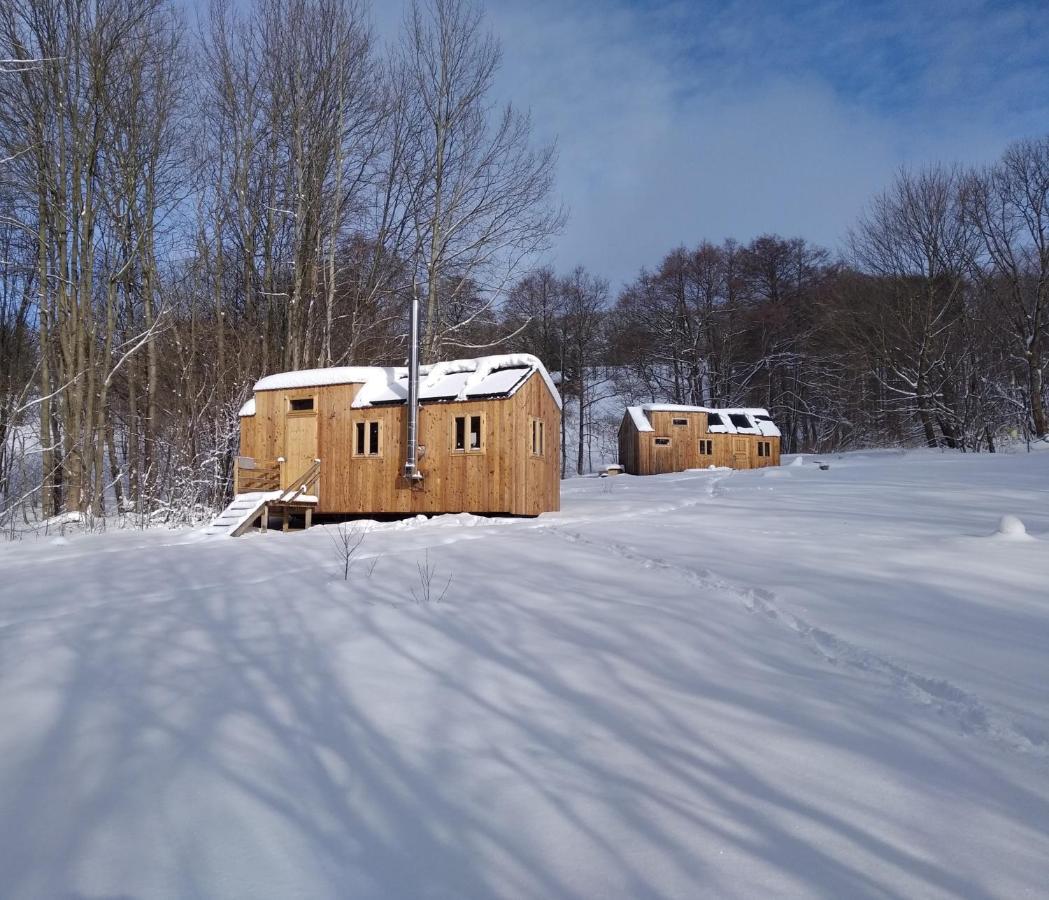 Celorocni Glamping V Pohodlnem Domecku Villa Výprachtice Buitenkant foto